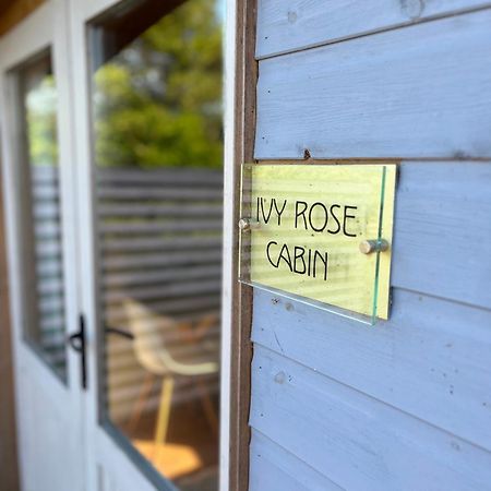 Ivy Rose Cabin No Hot Tub Б'юд Екстер'єр фото